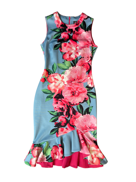 Vince Camuto Blue and Pink Floral Dress Size 2